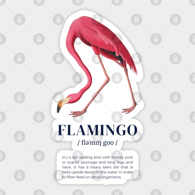 Flamingo - Animal Dictionary Definition Sticker by Millusti